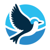 Blue Balance icon